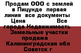 Продам ООО с землей в Пицунде, первая линия, все документы › Цена ­ 9 000 000 - Все города Недвижимость » Земельные участки продажа   . Калининградская обл.,Советск г.